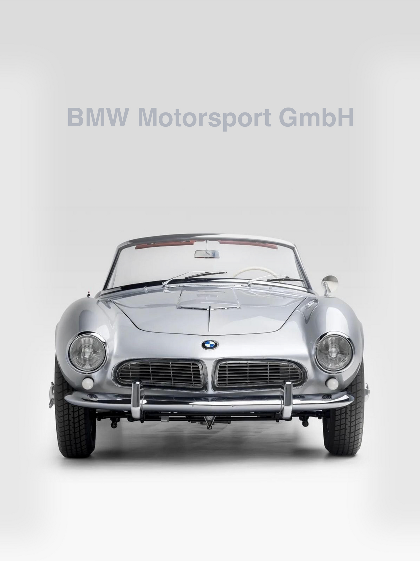 BMW 507