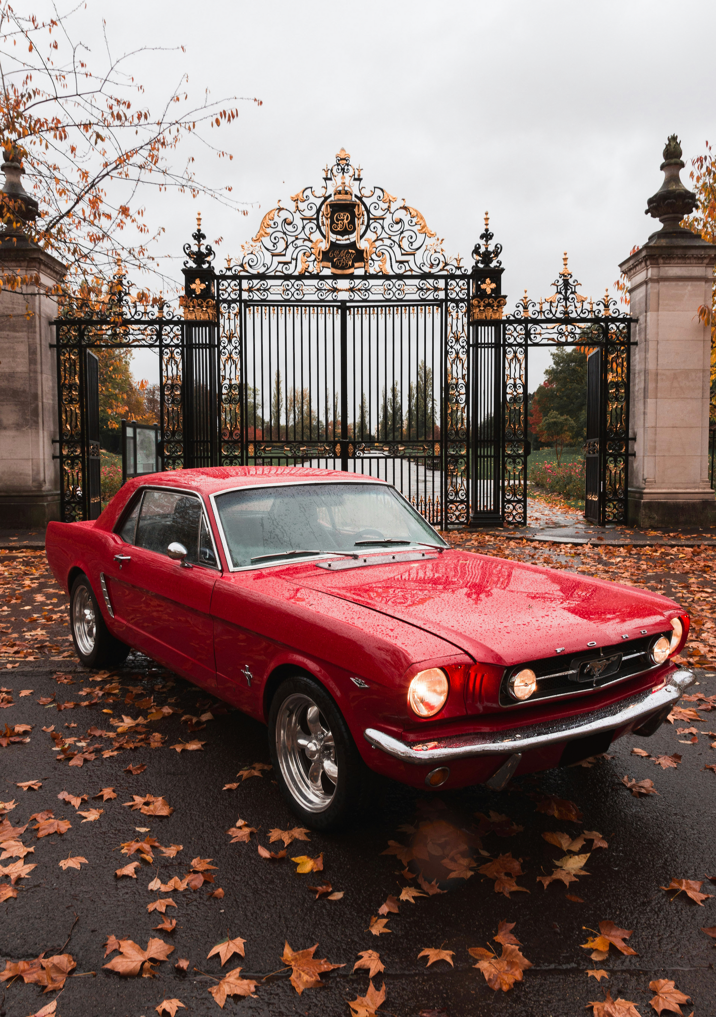 FORD MUSTANG