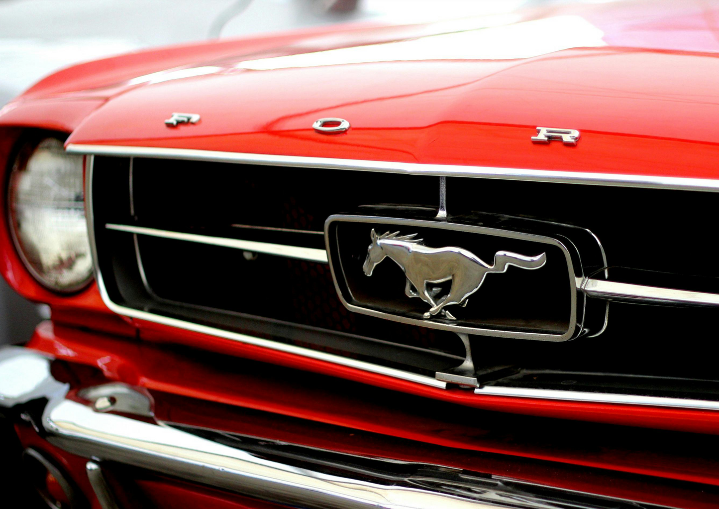 FORD MUSTANG